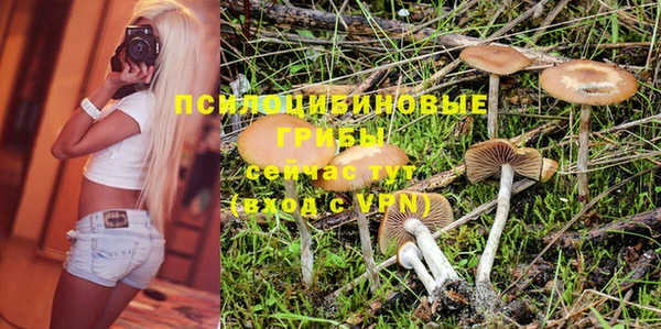 спиды Абинск