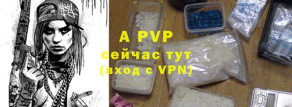 спиды Абинск