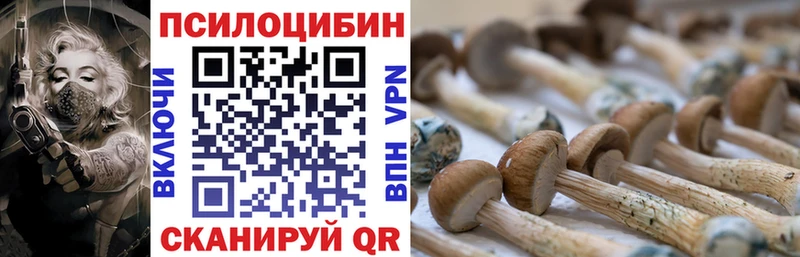 Галлюциногенные грибы прущие грибы  Ак-Довурак 